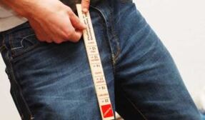 Male penis measurement with ruler
